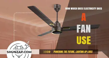 Unveiling the Hidden Costs: How Much Electricity Does Your Fan Really Use?