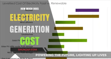 Unraveling the Expenses: A Deep Dive into Electricity Generation Costs