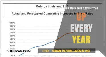 Annual Electricity Cost Surge: What to Expect and How to Cope