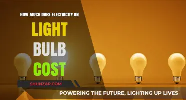 Illuminating Costs: Understanding Your Light Bulb's Electricity Expense