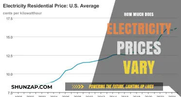 Exploring the Fluctuations: How Much Do Electricity Prices Vary?