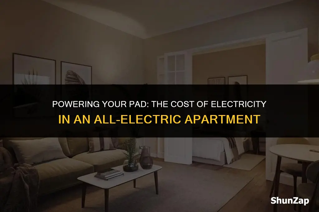 how much does electricity run in an all electric apartment