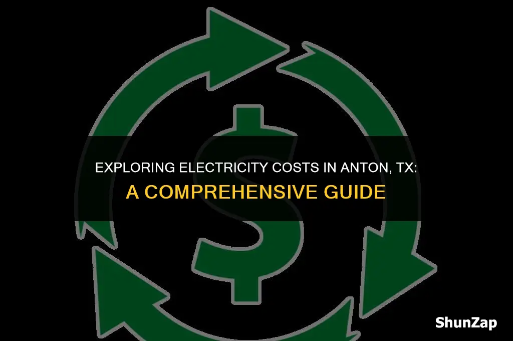 how much does electricity run in anton tx