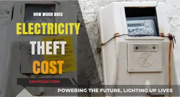 The Hidden Toll: Uncovering the Economic Impact of Electricity Theft