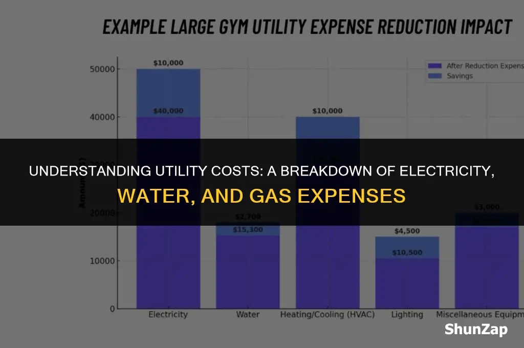 how much does electricity water and gas cost