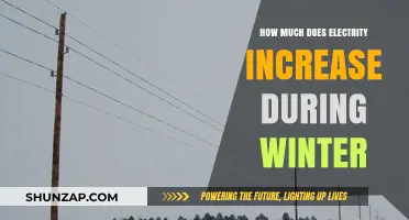 Winter's Chill: Understanding the Seasonal Spike in Electricity Usage