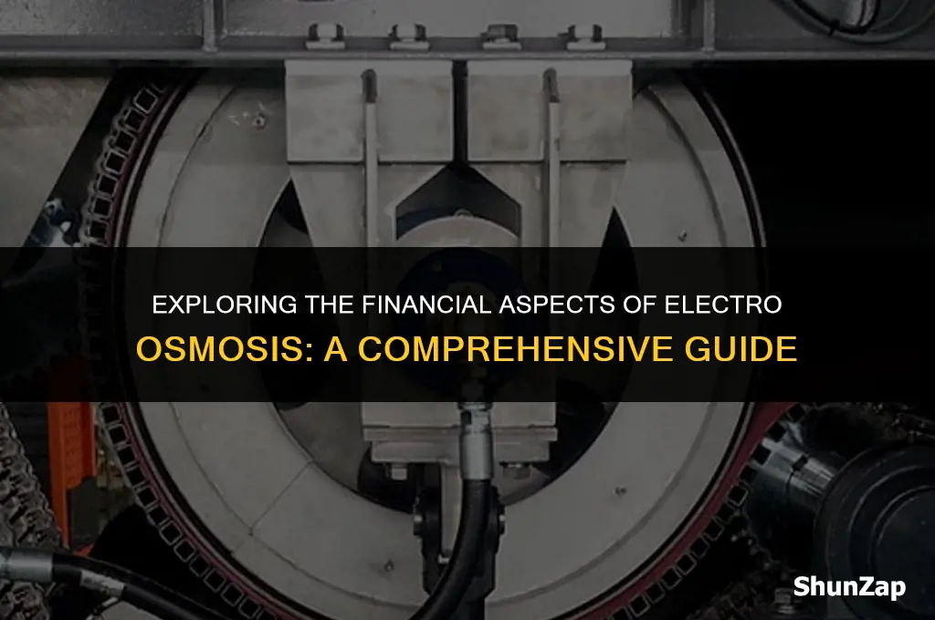 how much does electro osmosis cost