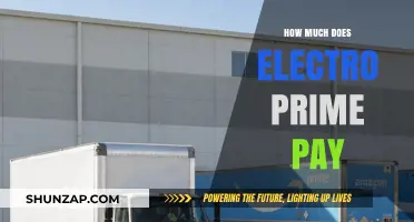 Unveiling the Salary Secrets: How Much Does Electro Prime Pay?