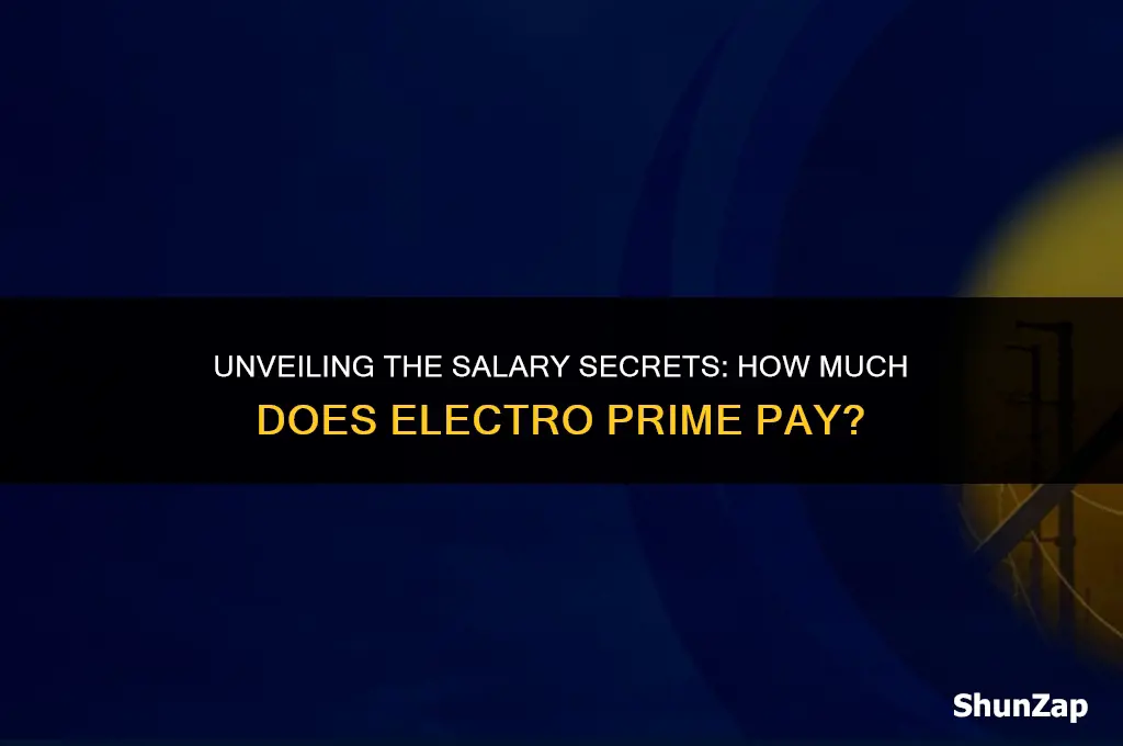 how much does electro prime pay