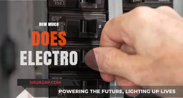 Exploring the Cost of Electro: A Comprehensive Guide