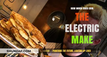 Unveiling Erik the Electric's Earnings: A Shocking Revelation