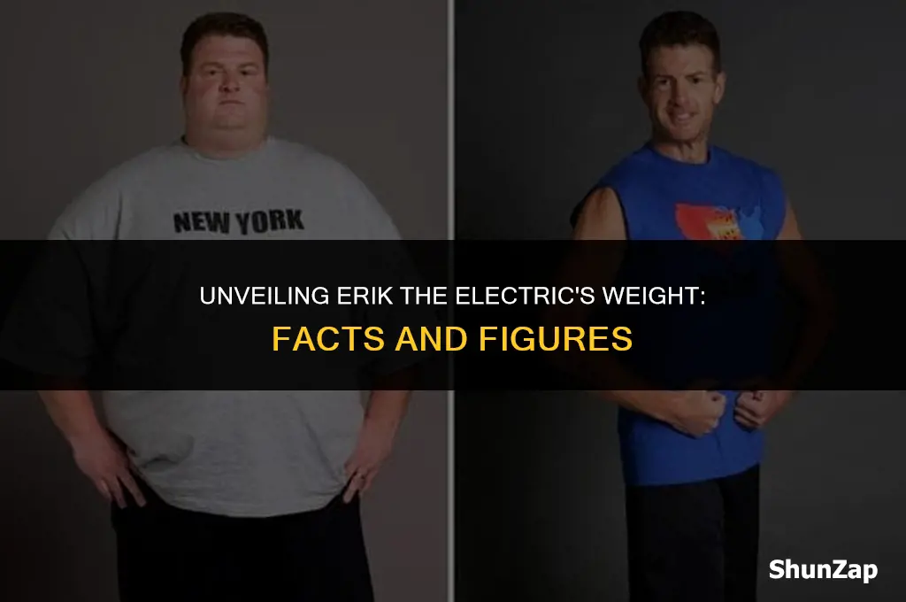 how much does erik the electric weigh