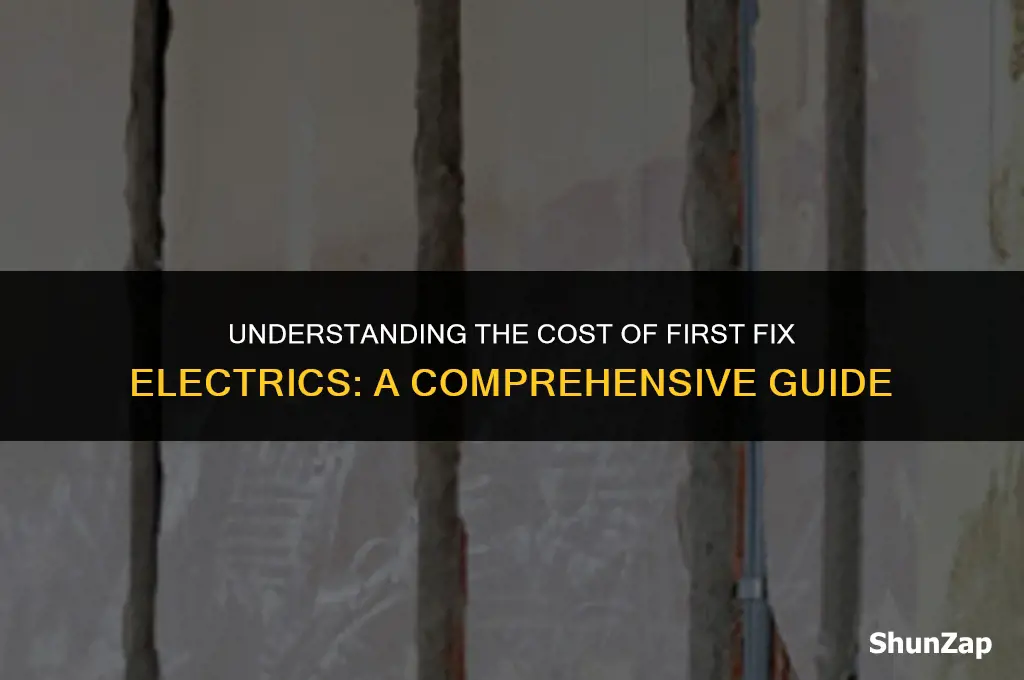 how much does first fix electrics cost