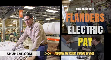 Exploring the Compensation Packages at Flanders Electric: A Comprehensive Guide