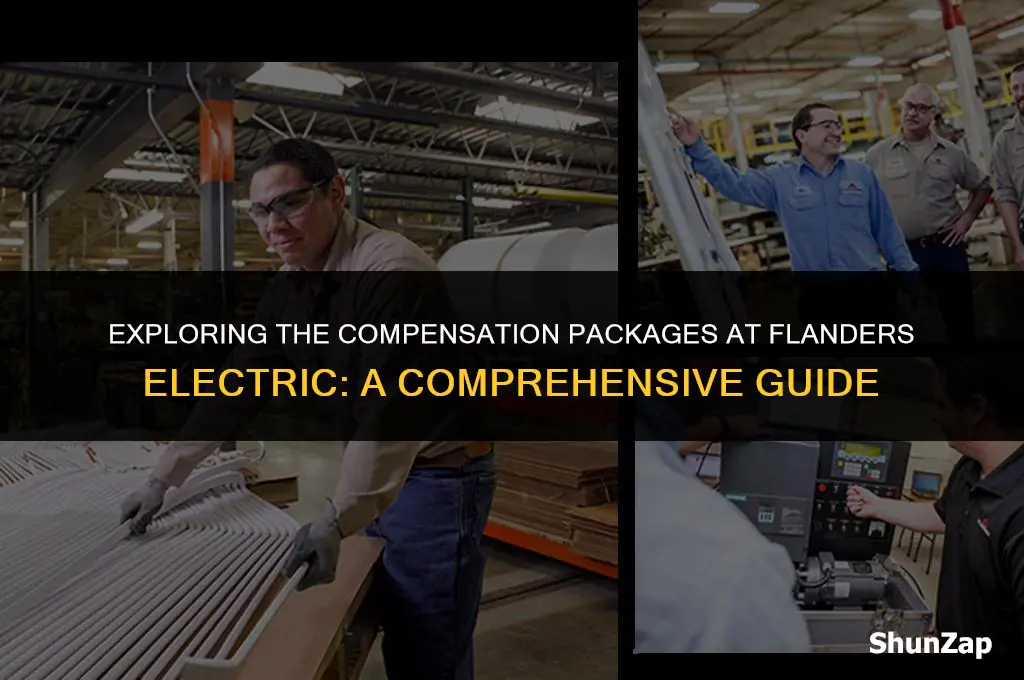 how much does flanders electric pay