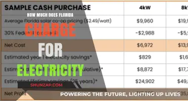 Understanding Florida's Electricity Costs: A Comprehensive Guide