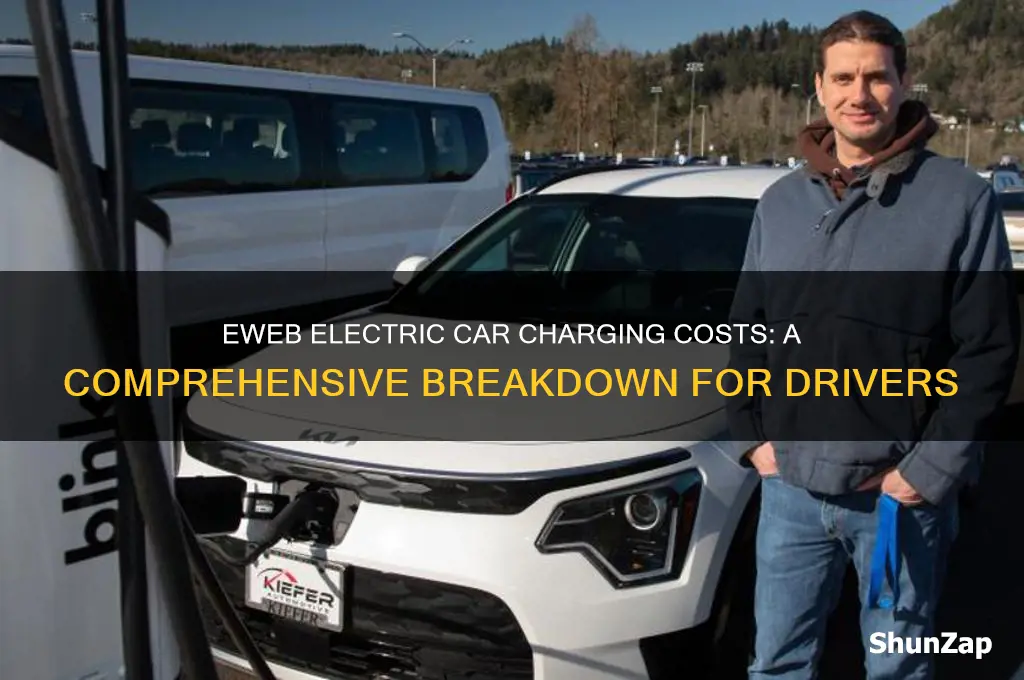 how much does it cost eweb to charge electric car