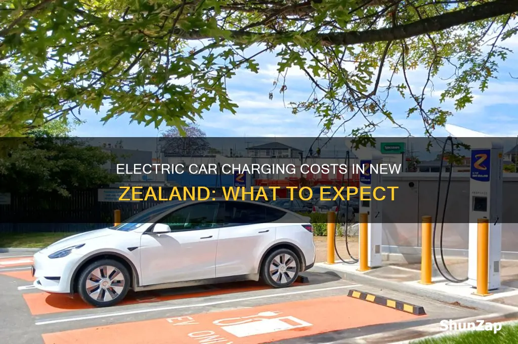 how much does it cost to charge electric car nz