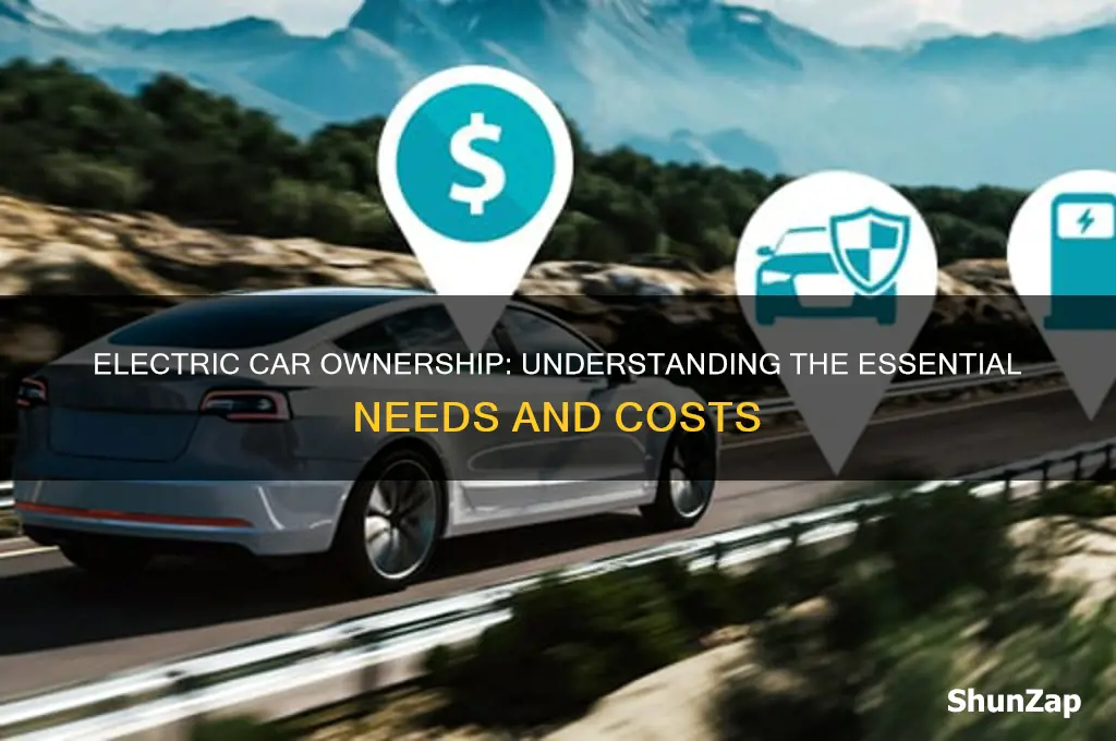 how much does one electric car need