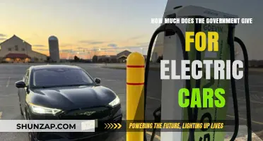 Government Incentives for Electric Cars: How Much Can You Get?