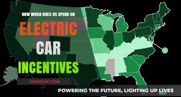 US Electric Car Incentives: Uncovering the Cost of Green Transportation