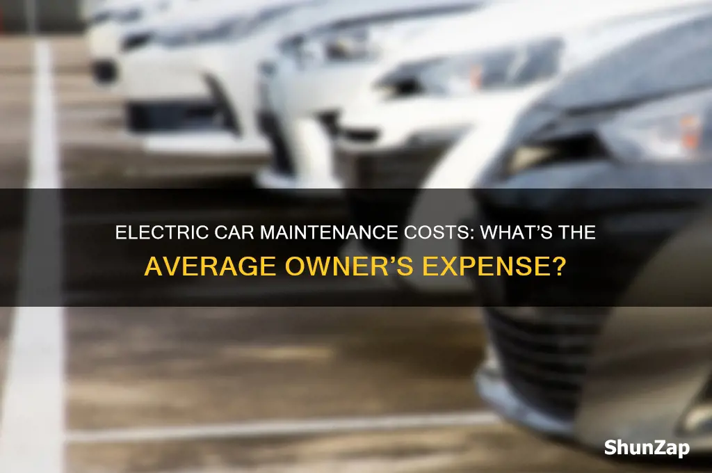 how much dose avrage person pay to maintain electric car