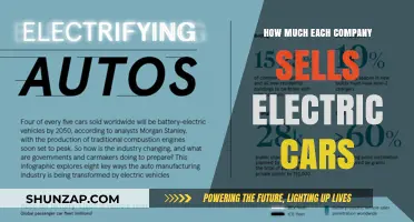 Electric Car Sales: Comparing Top Companies' Market Performance and Growth
