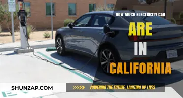 Electric Vehicles in California: Powering the Golden State's Green Revolution