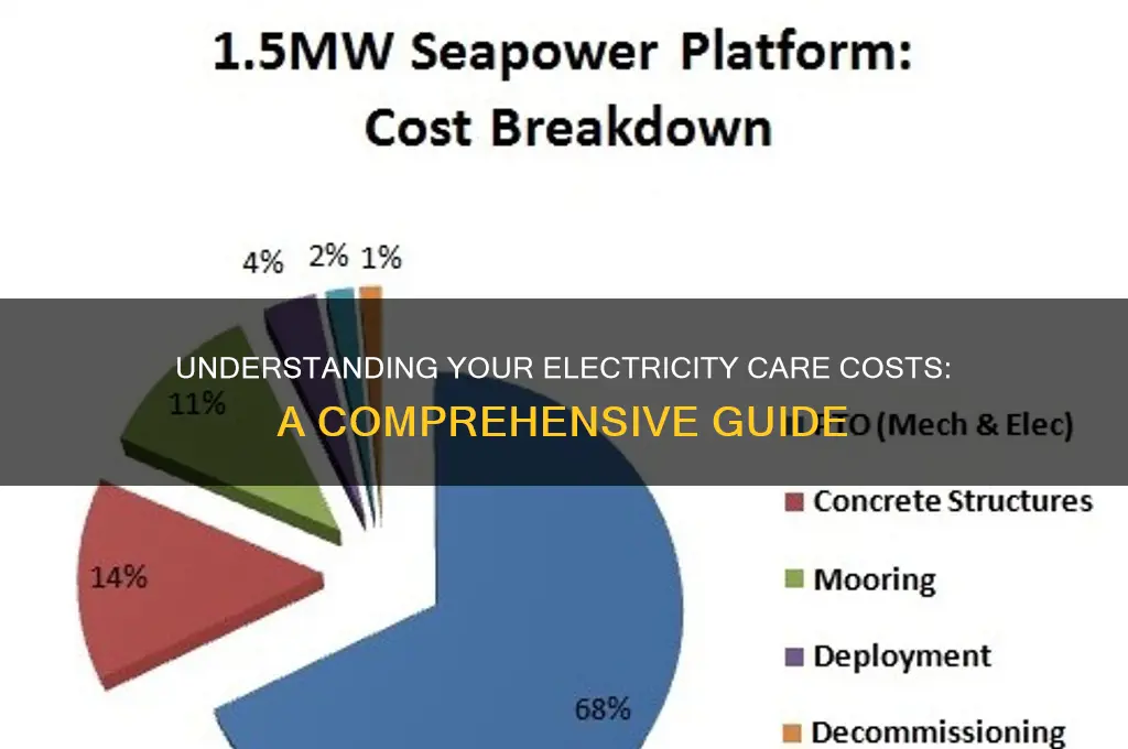 how much electricity care cost