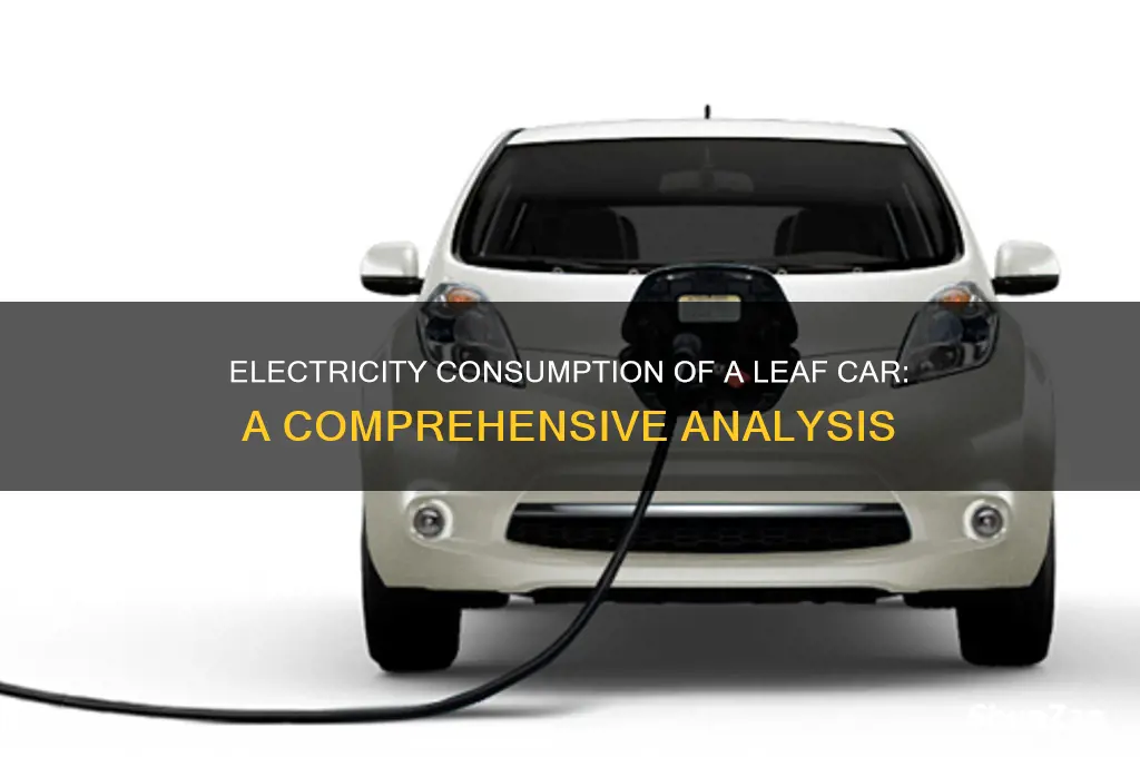 how much electricity does a leaf car use