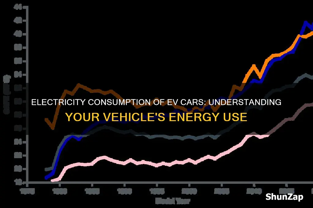 how much electricity does an ev car use