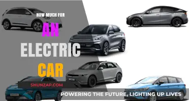 Electric Car Costs: What to Expect When Going Green