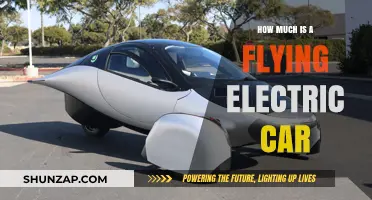 Exploring the Cost of Flying Electric Cars: A Comprehensive Guide