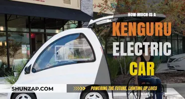 Kenguru Electric Car Price: Cost, Features, and Value Explained