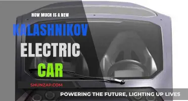 Kalashnikov Electric Car Price: What You Need to Know