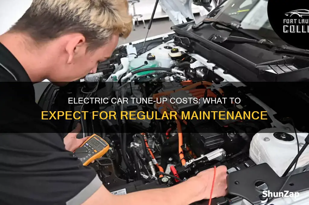how much is a regular tune up on electric car