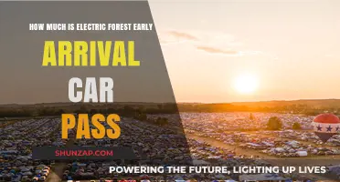 Electric Forest Early Arrival Car Pass Cost: What to Expect