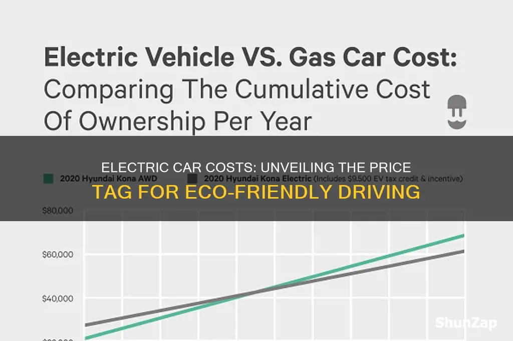 how much is it for electric car