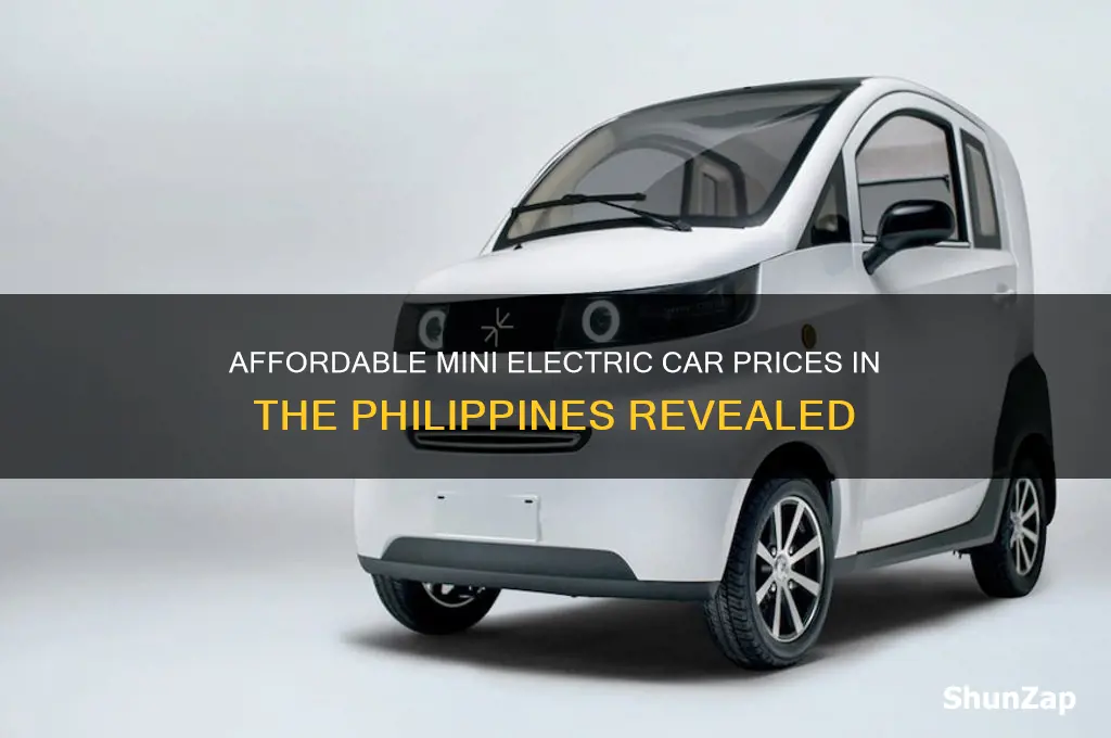 how much is mini electric car in the philippines