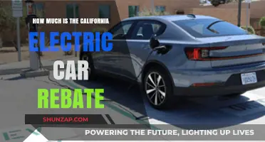 California Electric Car Rebate: How Much Can You Save?