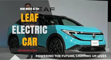 Leaf Electric Car Price: Cost Breakdown and Value Analysis