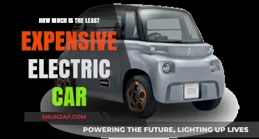 Affordable Electric Vehicles: Discover the Lowest-Priced EV Option Today