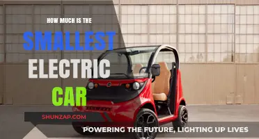 Compact and Affordable: Exploring the Cost of the Smallest Electric Car