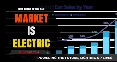 Electric Vehicles: Capturing a Growing Share of the Global Car Market