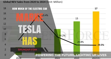 Tesla's Dominance: Unraveling Its Share of the Electric Car Market