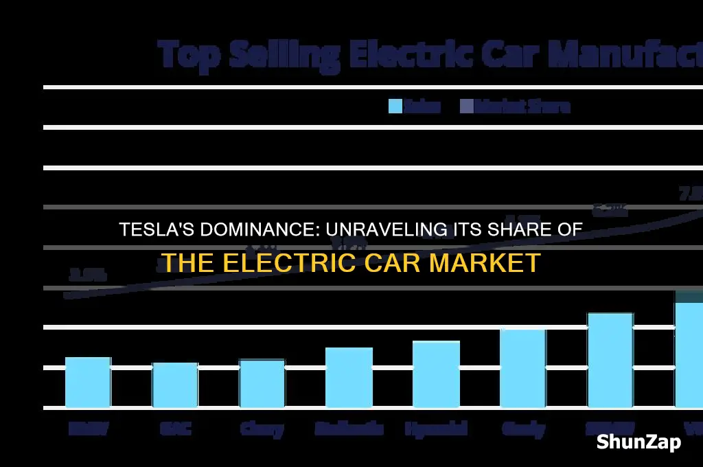how much of the electric car marke tesla has