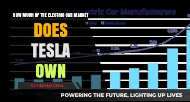 Tesla's Dominance: Unraveling Its Share of the Electric Car Market