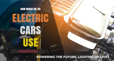 Electric Cars and Oil Consumption: Debunking the Myths