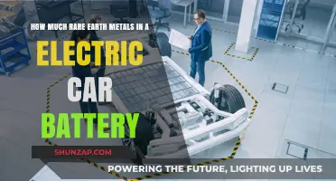 Rare Earth Metals in Electric Car Batteries: Unveiling the Hidden Components