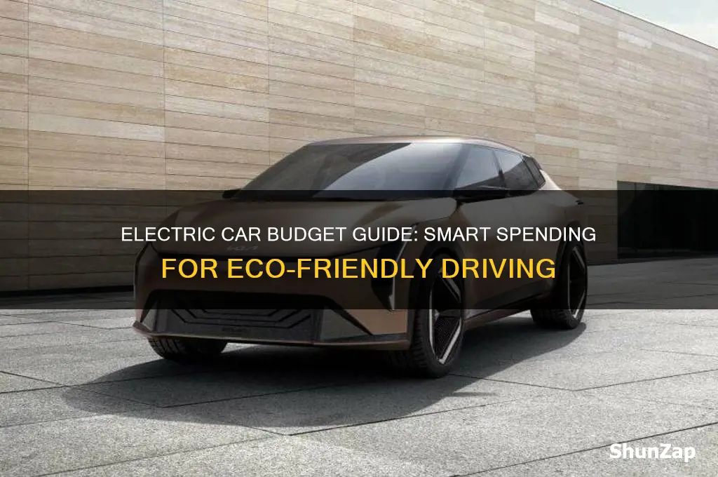 how much spend on electric car